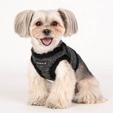 Puppia harness  hondentuigje hepatica model b black 3