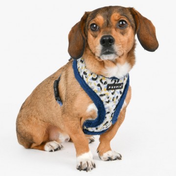 Puppia harness  hondentuigje huxley model a blue 44