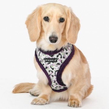 Puppia harness  hondentuigje huxley model a purple 3 3