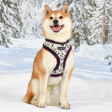 Puppia harness  hondentuigje huxley model a purple 4