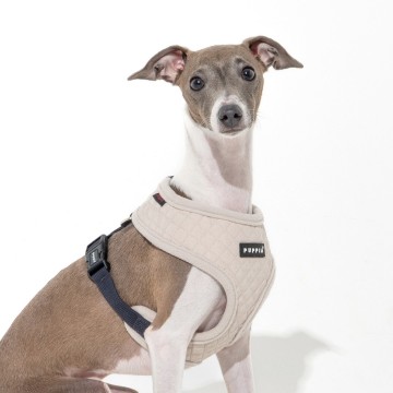 Puppia harness  hondentuigje irvin model a cream 3