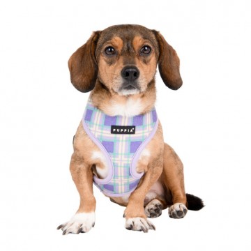 Puppia harness  hondentuigje jaylen model a violet 3