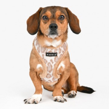 Puppia harness  hondentuigje kovo model a beige 4