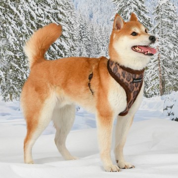 Puppia harness  hondentuigje kovo model a brown 3