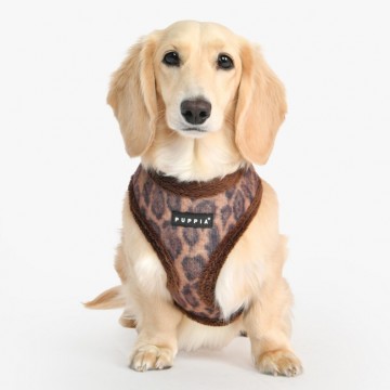 Puppia harness  hondentuigje kovo model a brown 4