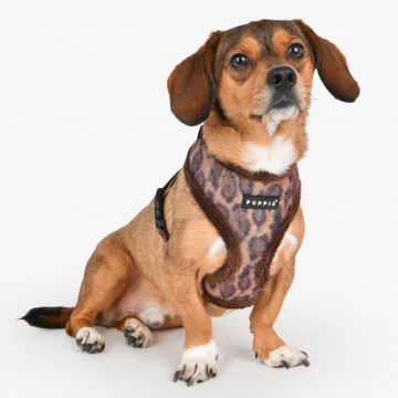 Puppia harness  hondentuigje kovo model a brown 5