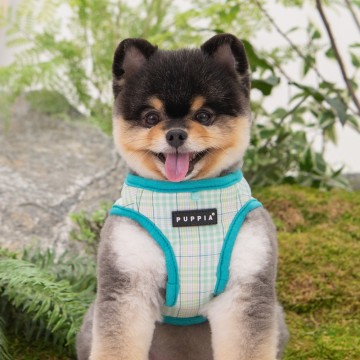 Puppia harness  hondentuigje luke model b aqua 3
