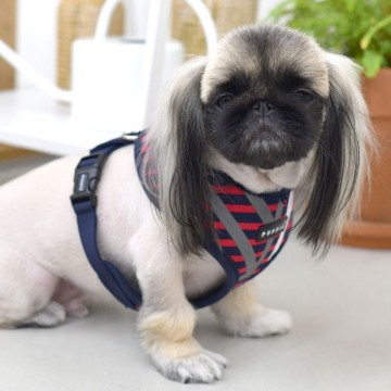 Puppia harness  hondentuigje model a briton red 3