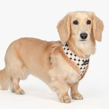 Puppia harness  hondentuigje model a jace beige 5