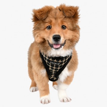Puppia harness  hondentuigje model a jace black 2
