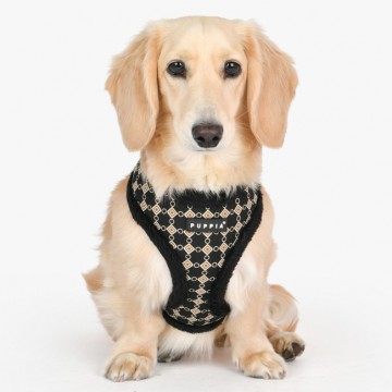 Puppia harness  hondentuigje model a jace black 3