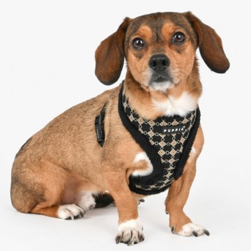 Puppia harness  hondentuigje model a jace black 4
