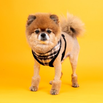 Puppia harness  hondentuigje model a kellen black 3