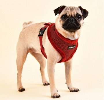 Puppia harness  hondentuigje model a puppytooth red 3