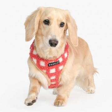 Puppia harness  hondentuigje model a stefan coral 4