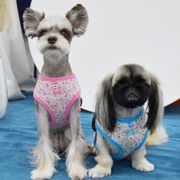 Puppia harness  hondentuigje model a wildflower pink 5