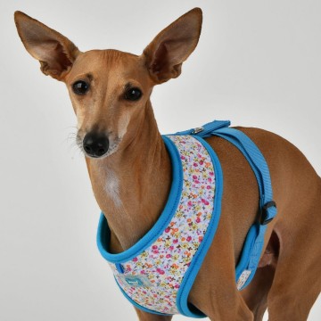 Puppia harness  hondentuigje model a wildflower sky blue 4