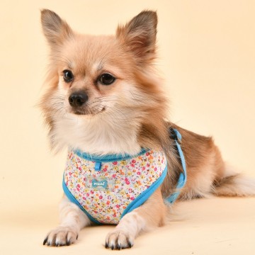 Puppia harness  hondentuigje model a wildflower sky blue 5