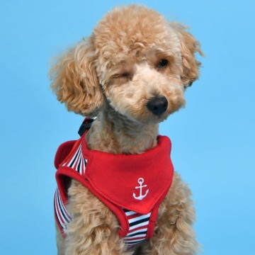 Puppia harness  hondentuigje model b seaman red 5
