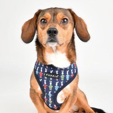 Puppia harness  hondentuigje mollie model a navy 3