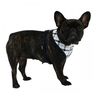Puppia Harness / Hondentuigje Neil Navy Model A