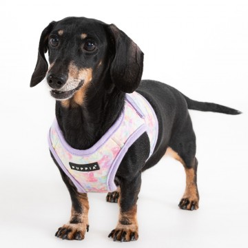 Puppia harness  hondentuigje nola model b violet 4