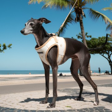 Puppia harness  hondentuigje pawprint model b beige 4