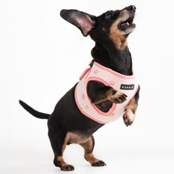 Puppia harness  hondentuigje pawprint model b indian pink 4