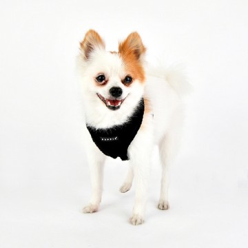 Puppia Harness / Hondentuigje Terry Model A Black