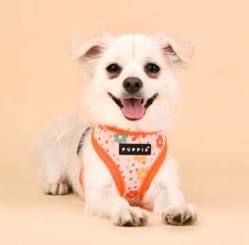 Puppia harness  hondentuigje vinca model a orange 3