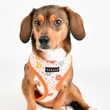 Puppia harness  hondentuigje vinca model a orange 4