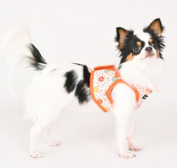 Puppia harness  hondentuigje vinca model b orange 5
