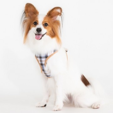 Puppia harness  hondentuigje windsor model a beige 4