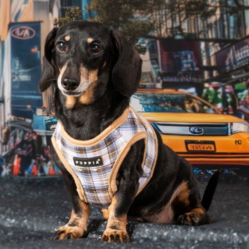 Puppia harness  hondentuigje windsor model b beige 5