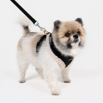 Puppia harness  hondentuigje winterstride model a black 9
