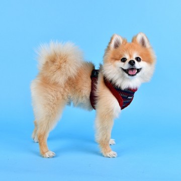 Puppia Harness Elliot Model A