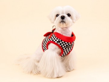 Puppia harness hondentuigje model b racer red 3