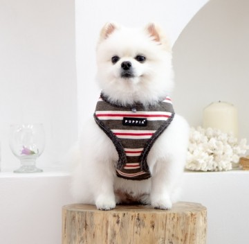 Puppia harness hondentuigje rowdy dark grey 4