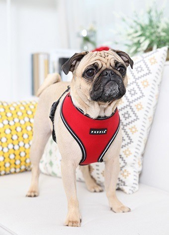 Puppia harness hondentuigje trek model a red 11