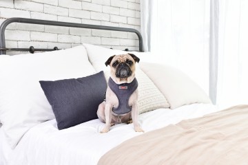 Puppia Harness / Honden tuigje Classy Model A Dark Grey