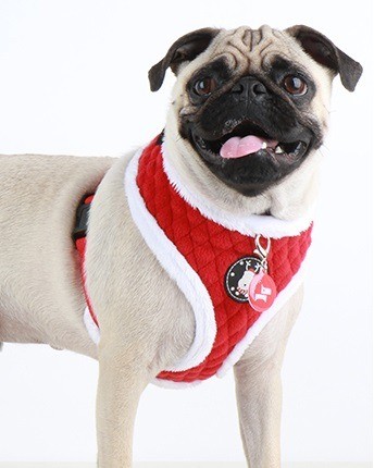 Puppia hondentuigje blitzen model a red 3