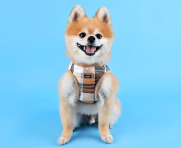 Puppia hondentuigje quinn model b beige 11