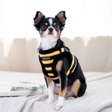 Puppia hondentuigjes  model b rowdy black 3