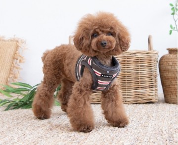 Puppia hondentuigjes  model b rowdy dark grey 3