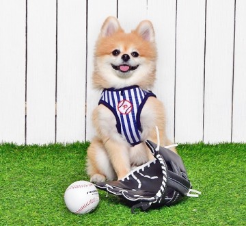 Puppia hondentuigjes sport baseball model b navy 3