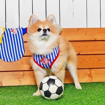 Puppia hondentuigjes sport voetbal hermes model a royal blue