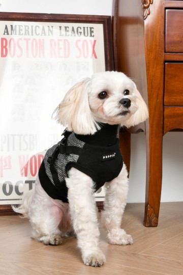 Puppia jacket gaspar black 3