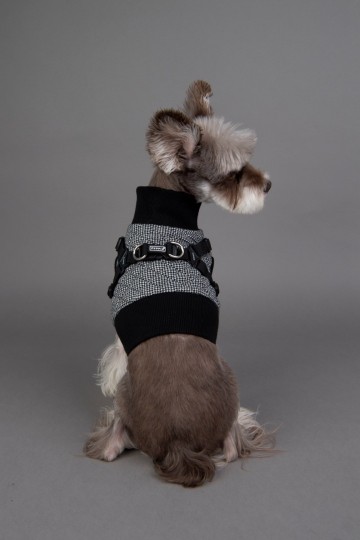 Puppia jacket gaspar black 5