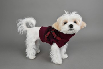 Puppia jacket gaspar wine 6
