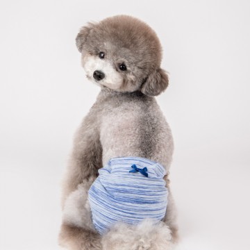 Puppia loopsheid broekje florine sanitary blue 3